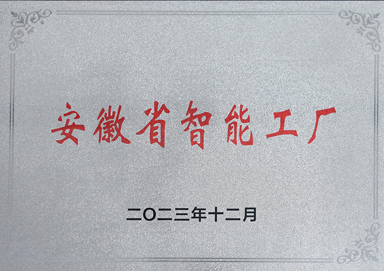 Anhui intelligent factory