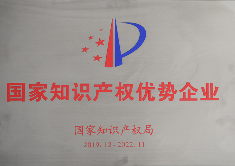 National intellectual property advantage enterprises