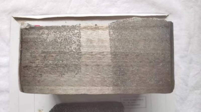plate hammers
